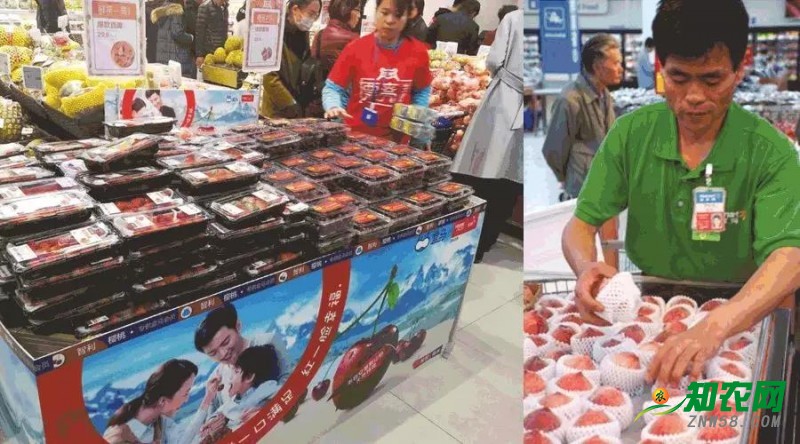 狗年春節(jié)市場前瞻:進口水果期待更長銷售期