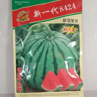 供應新一代8424西瓜種子，新一代8424西瓜苗