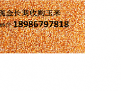 大量求購玉米，大豆，棉粕，豆粕，高粱