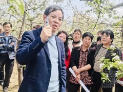 蘋果遭遇冰雹襲擊？做好這五項(xiàng)措施有助于減少損失