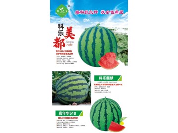 高品質優質西瓜種子火爆熱銷中